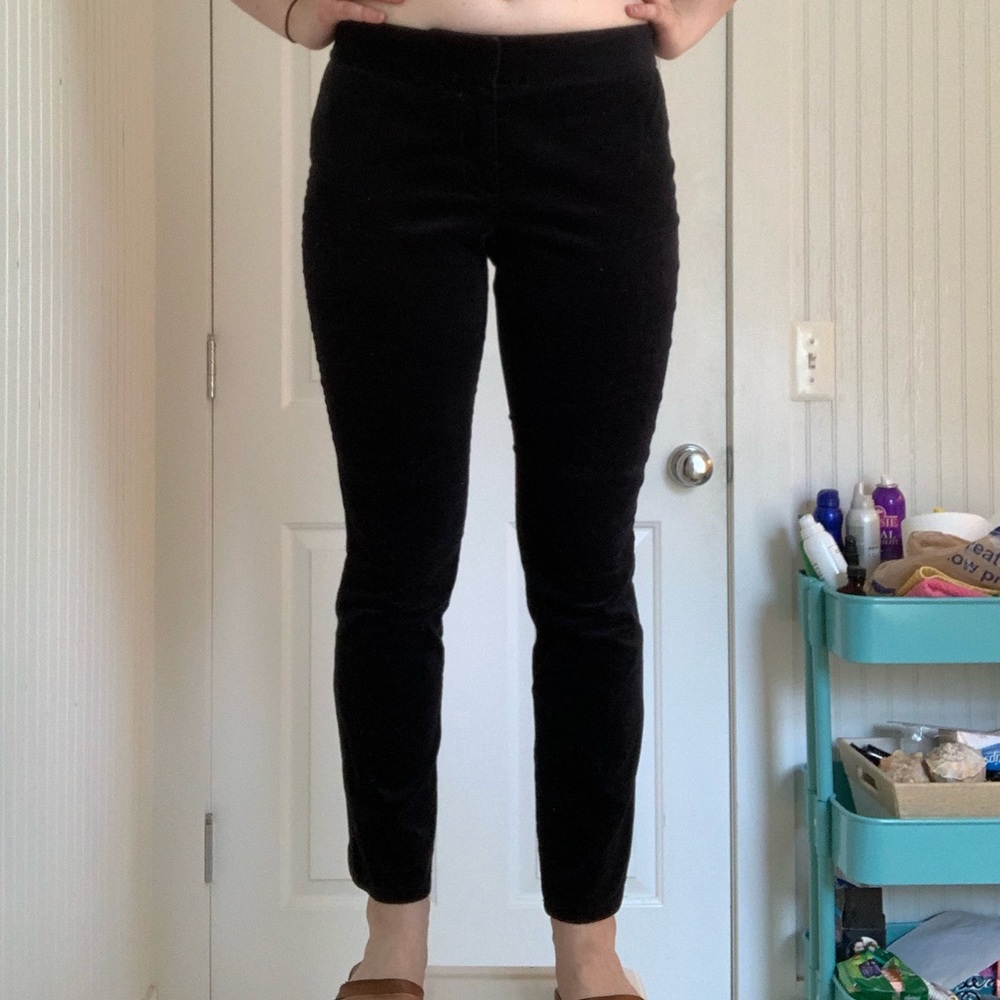 Loft velvet black pants